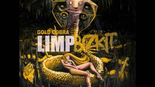 Limp Bizkit  Get A Life Gold Cobra 2011 HDHQ [upl. by Fennelly]