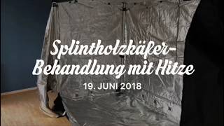 IHD Splintholzkäfer Wärmebehandlung Nürnberg Fürth Erlangen [upl. by Nymzaj327]