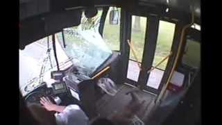 Deer crashes into bus in Johnstown  Deer Fare [upl. by Terrell]