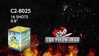 BOST C2B025 ｜ SQS FIREWORKS ｜ CHINA FIREWORKS [upl. by Isawk290]