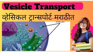 Vesicle Transport Explained l Biology l [upl. by Yliram]