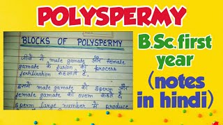 polyspermy fast and slow blocks of polyspermy in hindi [upl. by Jozef]