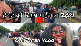 हेटौडाको बिशेष सामूहिक गाईजात्रा 2081 ।। Gai Jatra Vlog [upl. by Cicily]