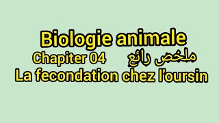 Biologie animale L1 s2 chapiter04 la fecondation chez loursin [upl. by Ulani816]