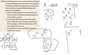 Chapter 163 SexLinked Genes Dihybrid Crosses and Autosomal Linkage [upl. by Irehs]