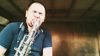 Pierrette competition tenor sax with plastic resonatorvintage berg LarsenRico reed [upl. by Natsrik]