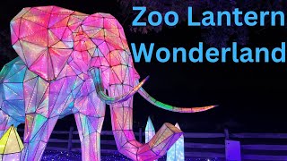 Step Into a Lantern Wonderland Cleveland Zoo’s Stunning Asian Lantern Festival 2024 [upl. by Dis]