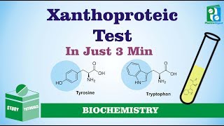 Xanthoproteic Test Just in 3 Minutes [upl. by Aramoy]