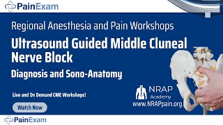 Ultrasound Guided Middle Cluneal Nerve Block and Diagnosis David Rosenblum MD NRAP PainExam [upl. by Burty]