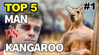 Kangaroo Fights Man  Kangaroo vs Human  Kangaroo Fight  Kangaru 😃 [upl. by Aizat]