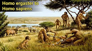 Story of Homo ergaster to homo sapiens हमारे पूर्वजों का इतिहास क्या था होमो सेपियन्स बनने की कहानी [upl. by Woermer]