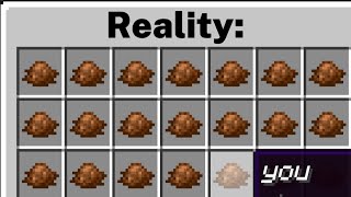 minecraft expectations vs reality [upl. by Iblok]