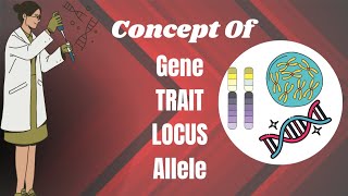 Gene  Trait  Locus  Allele [upl. by Chauncey]