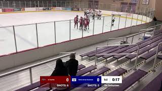 North Jersey Avalanche Vs Jr Coyotes Tier 1 [upl. by Eilzel780]