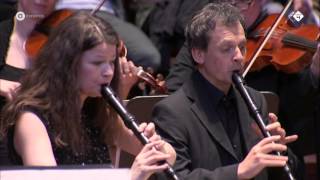 JS Bach Brandenburgs Concert nr 4  Hofkapelle München  Live concert HD [upl. by Ahsiral]