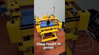 Cheap CoreXY 3D Printer [upl. by Nanoc]