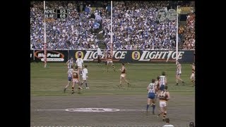 AFL 1998 Grand Final Adelaide Vs North Melbourne [upl. by Montagu]