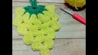 Crochet Piña  Ananá tejida paso a paso Apliques [upl. by Ioab760]