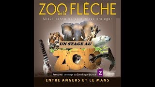 Un stage au zoo de la Fléche [upl. by Ahtanoj]