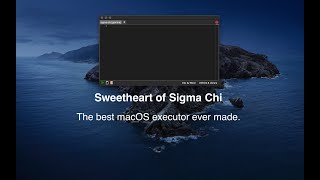 SSC  The best macOS ROBLOX executor Runs Owlhub  Saveinstance  Decompiler [upl. by Siravart]