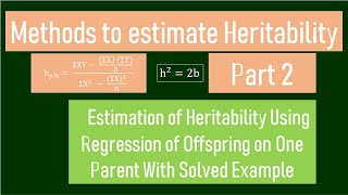 Estimation of Heritability Part 2  Regression of Offspring on One Parent [upl. by Krysta]