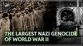 How was the BRUTAL Nazi plan to EXTERMINATE almost 2 million Jews [upl. by Zuzana]