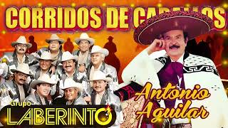 Antonio Aguilar y Grupo Laberinto Corridos de Caballos Famosos Mix 🏇 🐎 🐴 [upl. by Sibelle]