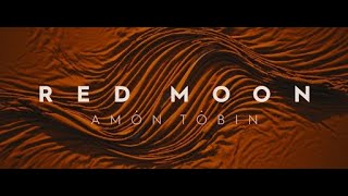 Amon Tobin Red Moon [upl. by Lorsung]