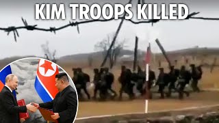 Ukraine wipes out 40 ‘elite’ North Korean soldiers in bloodbath as Putin plan backfires [upl. by Mateya2]