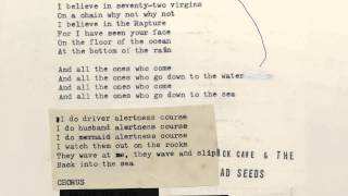 Nick Cave amp The Bad Seeds  Mermaids Lyric Video [upl. by Ottilie349]