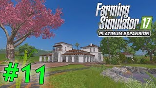 FS17 CACAO MERAVIGLIAO N11 SEMINATRICE DA MAIS [upl. by Naharba]