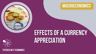 Effects of a Currency Appreciation  A Level and IB Economics [upl. by Neenaj]