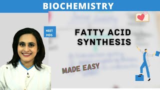 Mastering Fatty Acid Synthesis StepbyStep Biochemistry Breakdown [upl. by Yenroc]