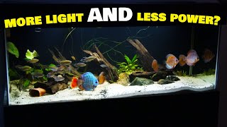 Brilliant Discus tank lighting upgrade [upl. by Devin]