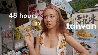 TAIWAN VLOG  first time in taipei best places to eat street markets dim sum amp cat village [upl. by Enad]