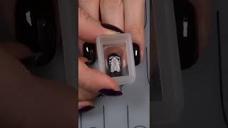 Gothic nails  Moth nails  nails naildesigns autumnnails fallnaildesigns nailarttutorial [upl. by Zeke]