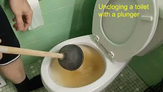 How to unclog a toilet with a plunger [upl. by Swirsky]