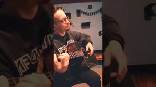 Hotel california acoustic solo hotelcaliforniasolo foryou fyp [upl. by Nosro687]