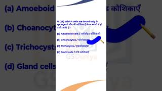 Biology Most Important QuestionsChoanocytes shortvideo yshortsvideo youtubeshort [upl. by Naujtna]