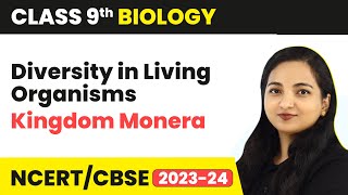 Kingdom Monera  Diversity in Living Organisms  Class 9 Biology  202324 [upl. by Murry298]