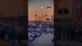 yahan sakki hasno Hussain hai ✨💚sorts sahide karbala video [upl. by Melvin]