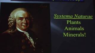 Linnaeus lecture 2011  Mineral Surfaces Geochemical Complexities and the Origins of Life [upl. by Nylaehs]