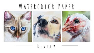 NEW Hahnemuhle Collection Watercolor Paper Full REVIEW [upl. by Konopka354]