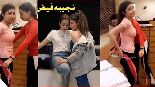 Najiba Faiz Tiktok New Video pashto talk new video [upl. by Haughay]