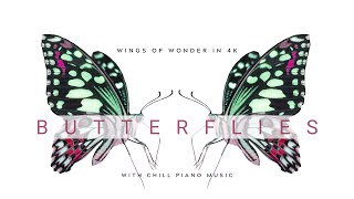 Wings of Wonder  Beautiful Butterflies in 4K with Relaxing Piano Music [upl. by Aliuqet]