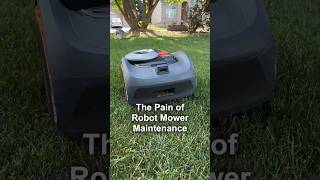 My Painful Robot Lawn Mower Maintenance Experience [upl. by Pepita793]