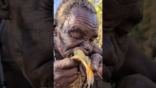 Thats breakfast😋 Roots Food Chief hadzabe eating their foodbushmen africa [upl. by Harbert]