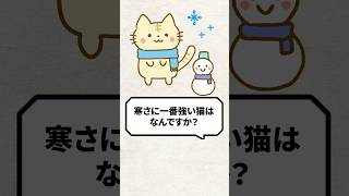 Q：寒さに１番強い猫って何ですか？ 猫 猫好きさんと繋がりたい ねこ [upl. by Carolyne]