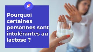 Intolérance au lactose  les aliments à éviter et à privilégier  Coaching Nutrition [upl. by Eednahs]