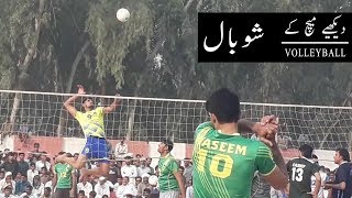 SHOW BALL  45gd 29october2017 okara  nature of volleyball [upl. by Ty379]